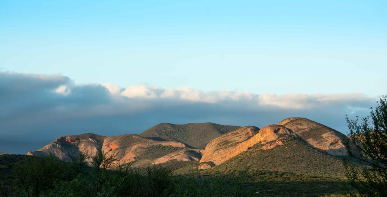 Thabile Lodge Oudtshoorn Kültér fotó