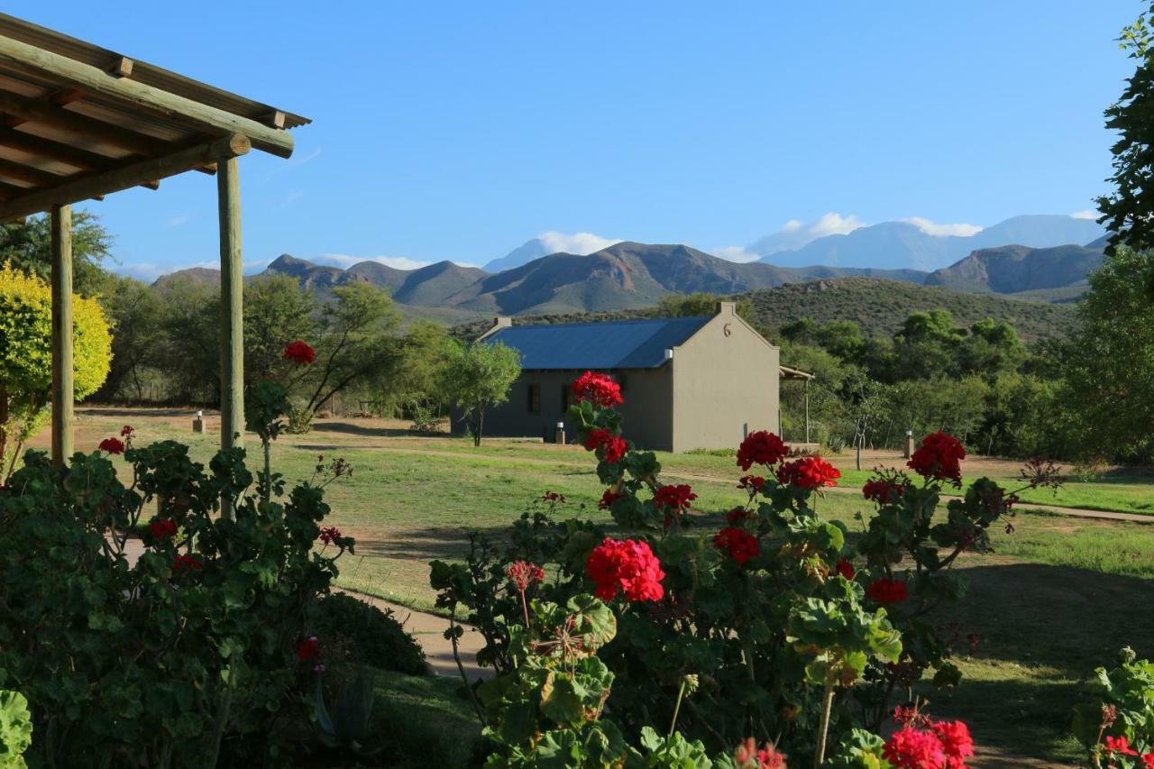 Thabile Lodge Oudtshoorn Kültér fotó