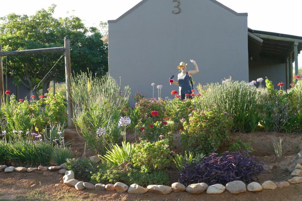 Thabile Lodge Oudtshoorn Kültér fotó