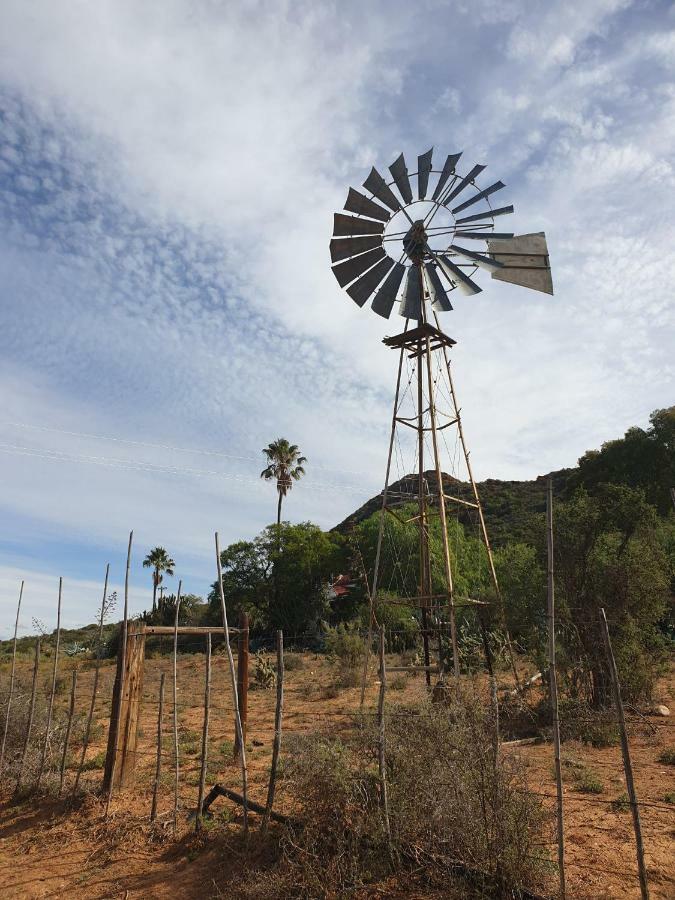 Thabile Lodge Oudtshoorn Kültér fotó