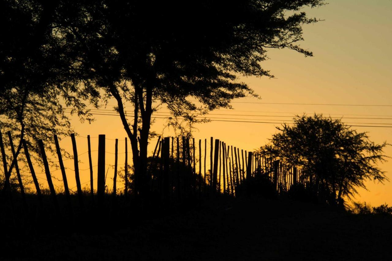 Thabile Lodge Oudtshoorn Kültér fotó