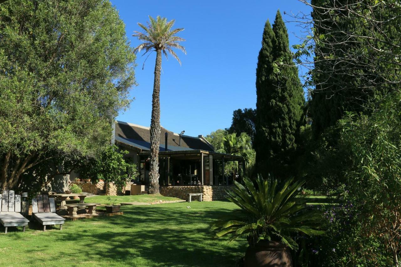 Thabile Lodge Oudtshoorn Kültér fotó
